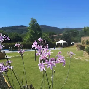 https://alba-morus-bed-e-breakfast-sentiti-a-casa-nel-cuore.it-tuscanyhotel.com